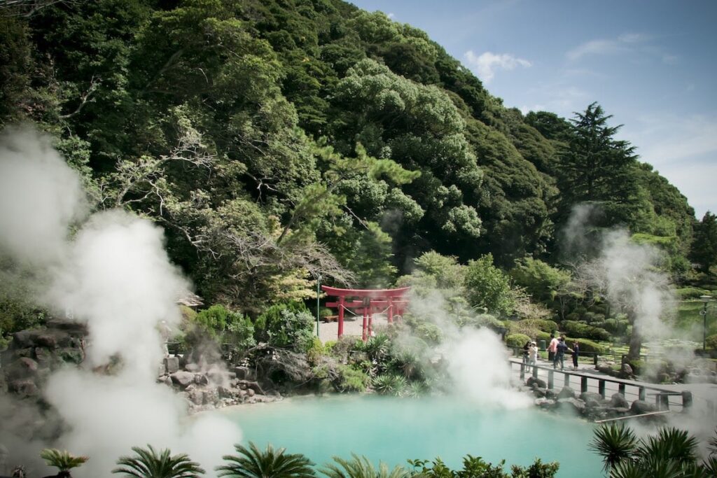 地域: 大分