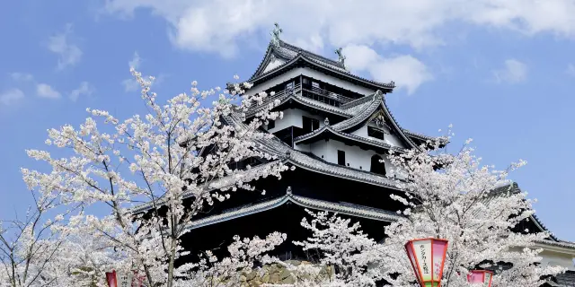 地域: 島根