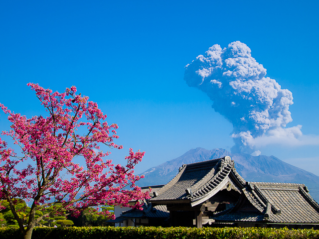 地域: 鹿兒島